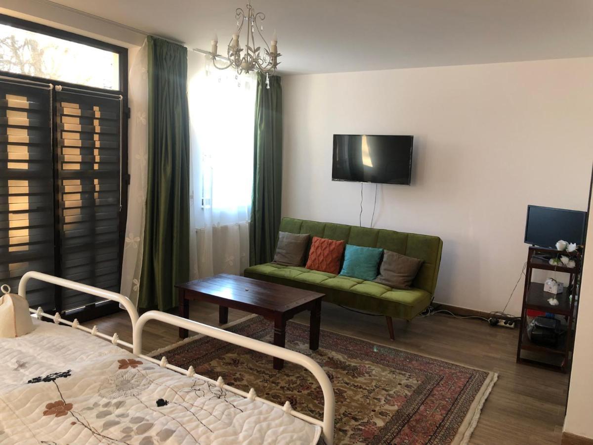 Pensiunea Cretisoara Cîmpulung Exterior foto