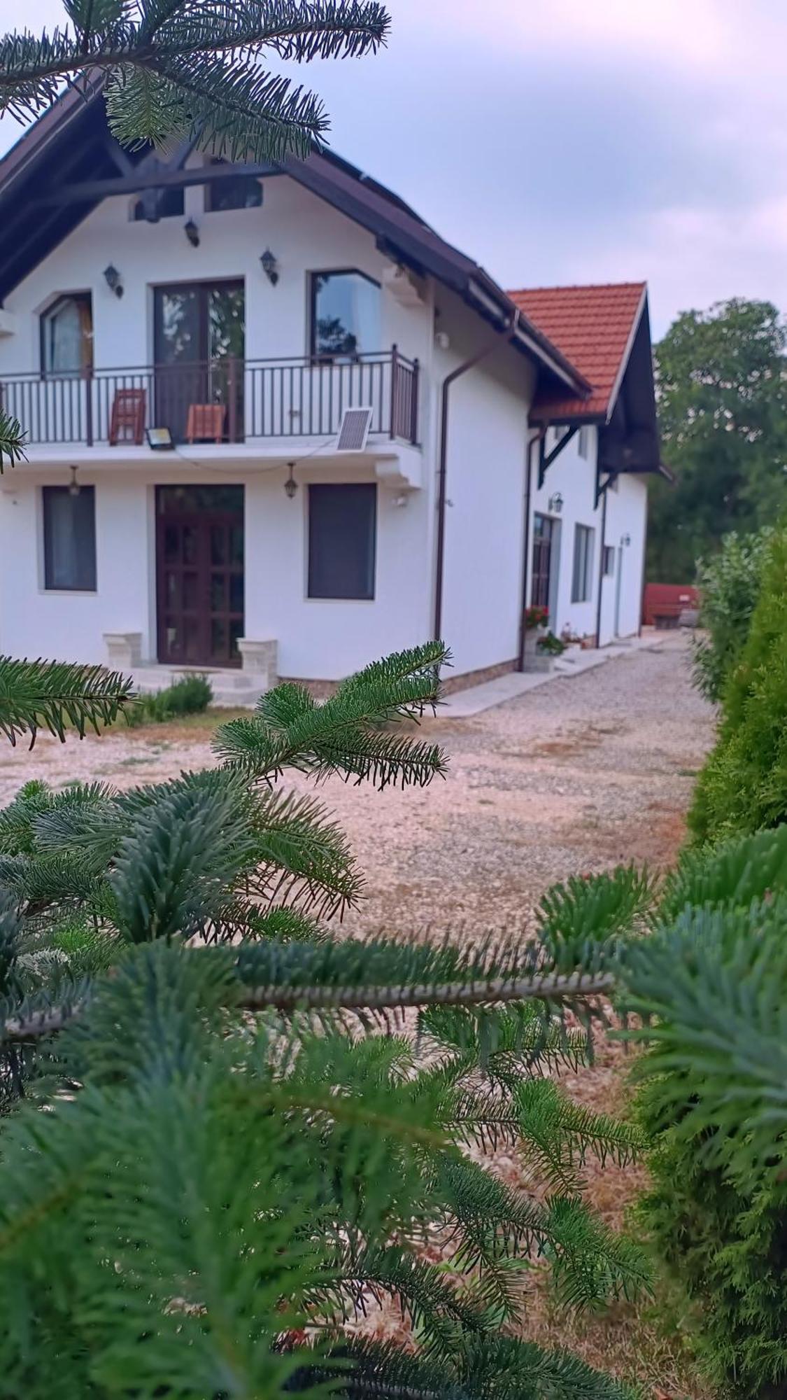 Pensiunea Cretisoara Cîmpulung Exterior foto